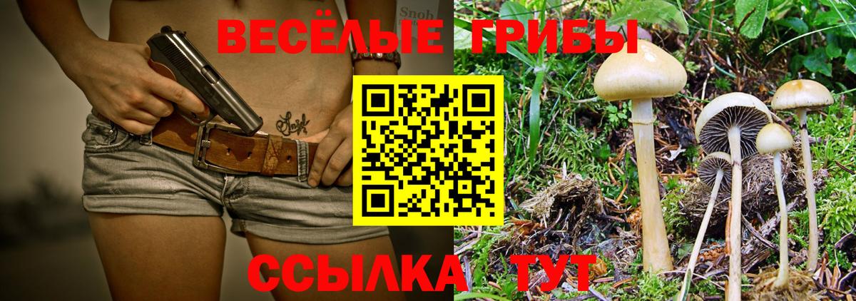 Галлюциногенные грибы Magic Shrooms Армавир
